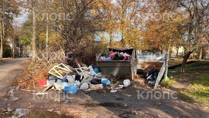 К мусорному беспределу подключилась ещё и популярная торговая сеть: в Калининграде вновь переполняются кески (фото)  - Новости Калининграда | Фото: Наталия Ванадис