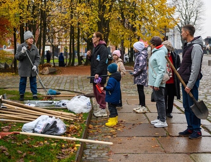 Порезвиться в листьях: остров Канта приглашает город на субботник 16 ноября в 11:00 - Новости Калининграда