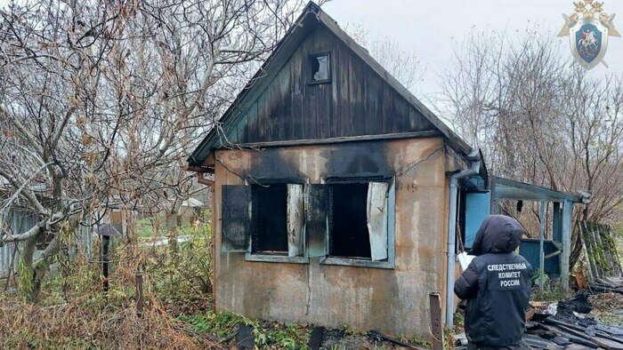 В Гусеве загорелся дачный домик, погиб 63-летний мужчина - Новости Калининграда | Фото: региональный СКР