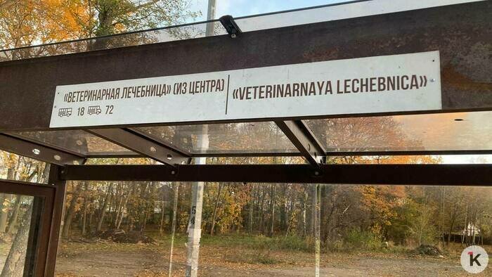 «На остановке ну просто ад творится»: калининградцы — о местах ожидания автобусов в центре и на окраинах - Новости Калининграда | Фото: «Клопс»