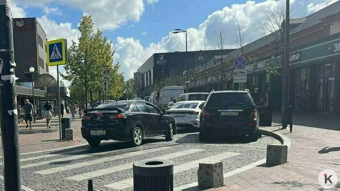 Так выглядели деревья в августе (справа от проезжей части). | Фото: архив «Клопс»