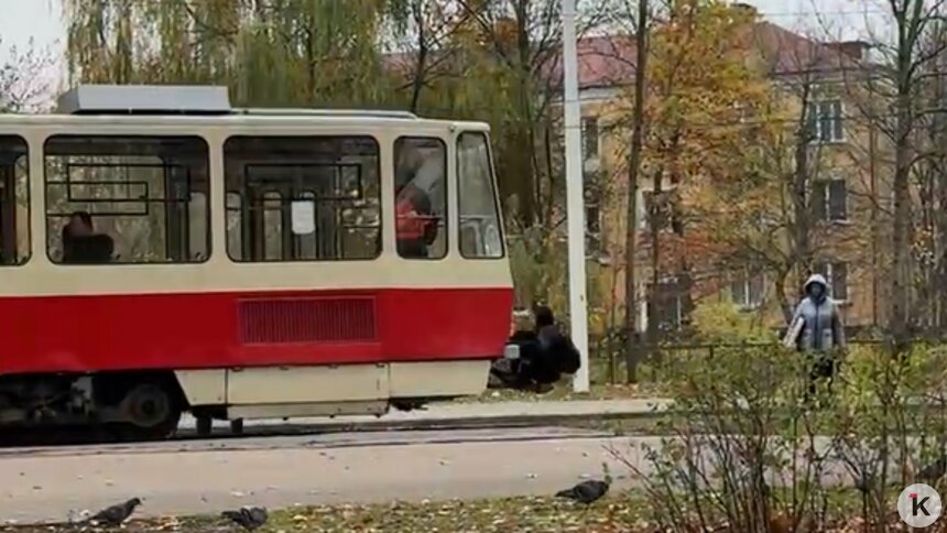 В Калининграде зацепер в чёрном прокатился по Аллее Смелых, но в «ГорТрансе» о нём не слышали (видео)  - Новости Калининграда | Фото: очевидец