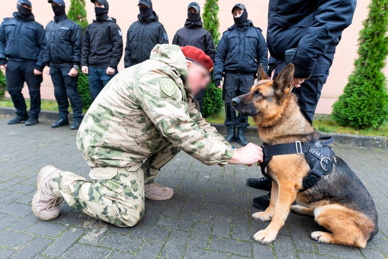 В Калининграде овчарку Базуку с оркестром проводили на пенсию после пяти лет службы в Росгвардии (фото, видео) - Новости Калининграда | Фото: Александр Подгорчук / «Клопс»