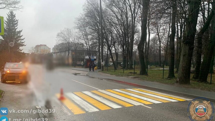 В Гурьевске на пешеходном переходе сбили школьницу  - Новости Калининграда | Фото: ГАИ Калининградской области 