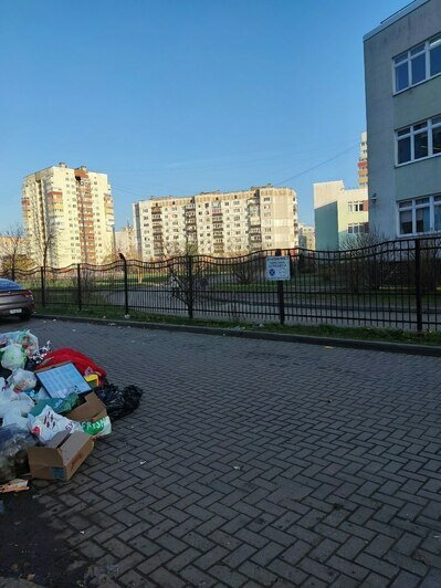 Отходное производство: какие улицы Калининграда давно скучают без уборки (фото)    - Новости Калининграда | Фото: местный житель