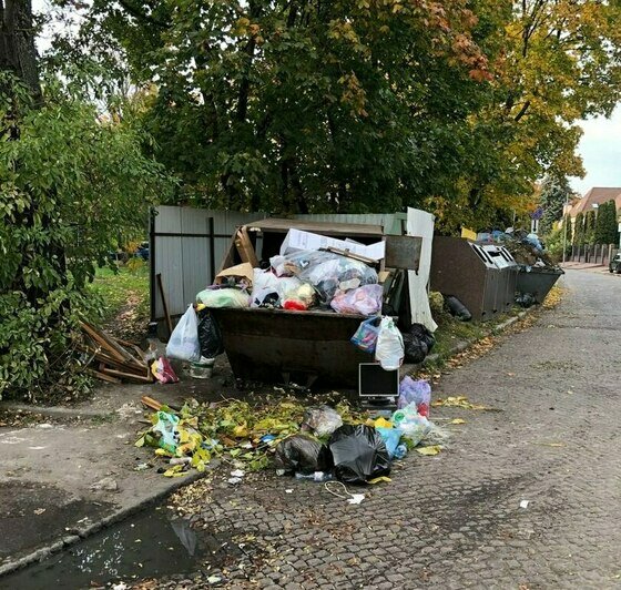 Отходное производство: какие улицы Калининграда давно скучают без уборки (фото)    - Новости Калининграда | Фото: Ольга