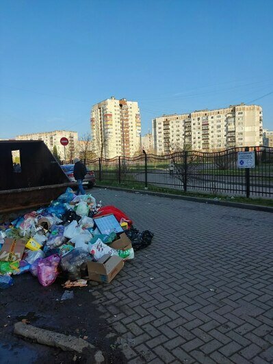 Отходное производство: какие улицы Калининграда давно скучают без уборки (фото)    - Новости Калининграда | Фото: местный житель