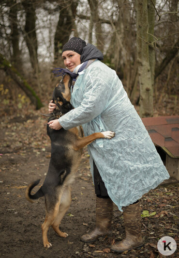 «Они помнят боль, которую доставил человек»: как «Клопс» ездил в приют для собак (репортаж)   - Новости Калининграда | Фото: Анна Шевченко