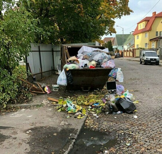 Отходное производство: какие улицы Калининграда давно скучают без уборки (фото)    - Новости Калининграда | Фото: Ольга