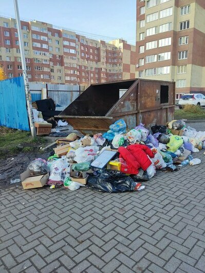 Отходное производство: какие улицы Калининграда давно скучают без уборки (фото)    - Новости Калининграда | Фото: местный житель