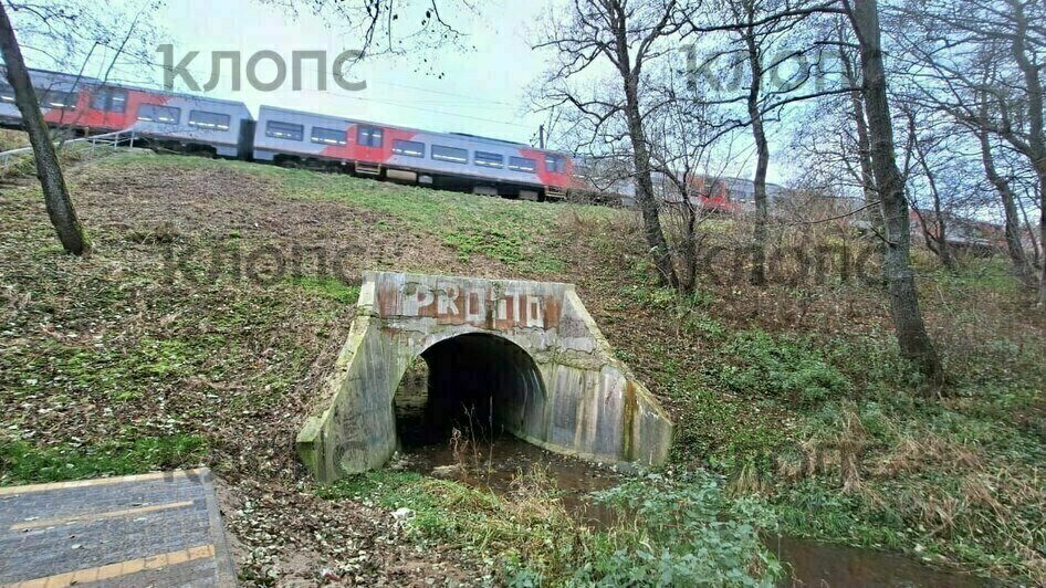 В Пионерском велодорожка до «Камня лжи» упёрлась в тупик, власти раздумывают, как быть дальше (фото) - Новости Калининграда | Фото: «Клопс»