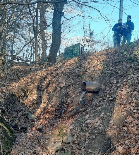 В Пионерском возле озера, где обустроили парк, нашли повреждения плотины - Новости Калининграда | Фото: ГБУ КО «Балтберегозащита»