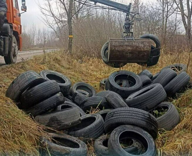 В Калининградской области разобрали ещё одну свалку, где автомобилисты оставляли старые шины (фото) - Новости Калининграда | Фото: администрация Зеленоградского городского округа