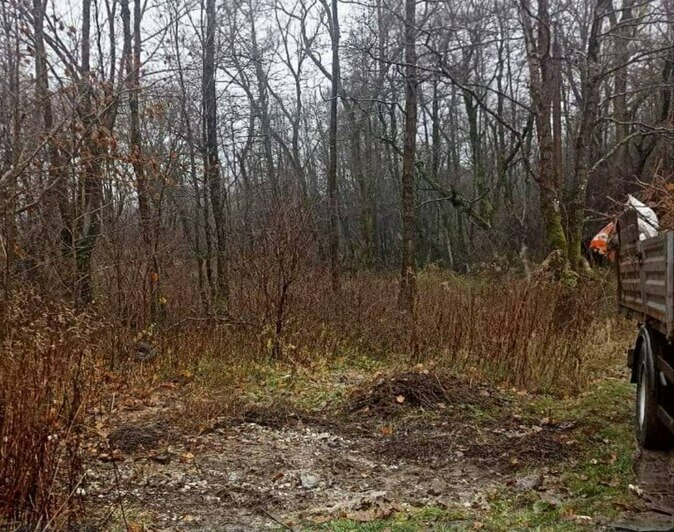 В Калининградской области разобрали ещё одну свалку, где автомобилисты оставляли старые шины (фото) - Новости Калининграда | Фото: администрация Зеленоградского городского округа