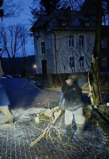 В Светлогорске штормовой ветер завалил деревьями и ветками центральные улицы (фото) - Новости Калининграда | Фото: телеграм-канал Владимира Бондаренко