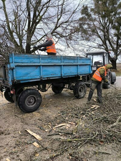 В Черняховске два дня устраняют последствия урагана: местный парк завалило деревьями и ветками (фото) - Новости Калининграда | Фото: телеграм-канал Сергея Булычева