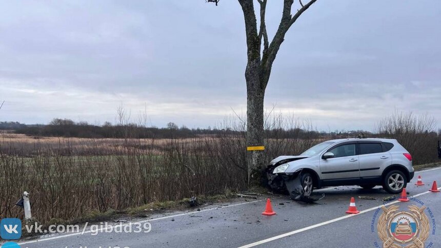 Женщина, которую спасатели доставали из разбившегося под Калининградом авто, не справилась с управлением - Новости Калининграда | Фото: ГАИ Калининградской области 