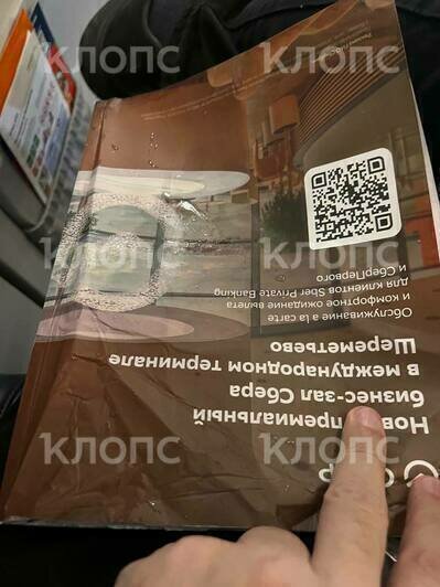 Калининградцу, на штаны которому накапало в самолёте по пути из Москвы, теперь залило ухо при полёте в столицу (фото) - Новости Калининграда | Фото читателя