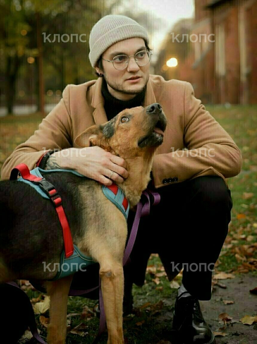 Покалеченного Джульбарса забрали в любящую семью | Фото: Анна Шевченко