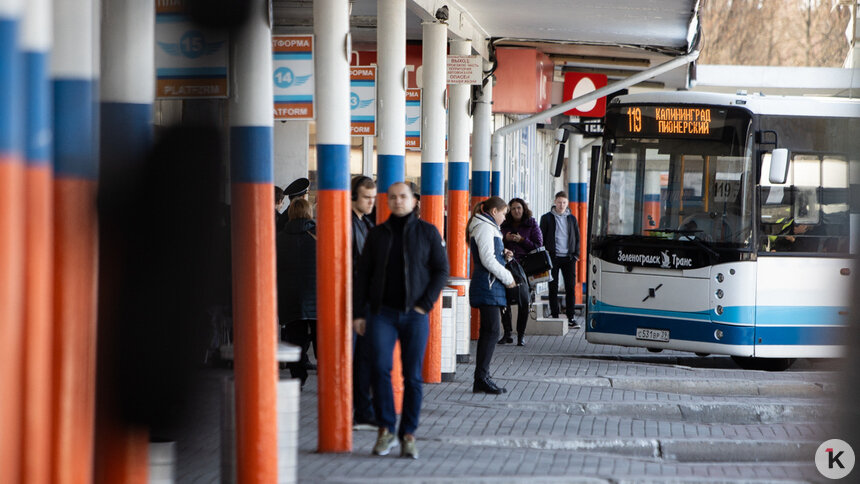 В Калининградской области во время каникул отменяют два десятка автобусных рейсов (список) - Новости Калининграда | Фото: Александр Подгорчук / Архив «Клопс»