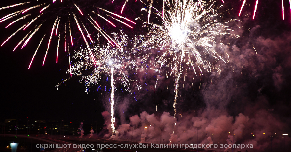 Салют в москве 2021. Москва новый год. Салют новый год где. Салют на красной площади 9 мая. Салют новый год где.