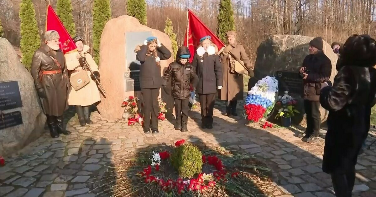 Море алых гвоздик на месте смертельных боёв: в пос. Красновка почтили ...