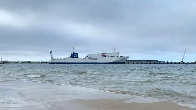 Жители Пионерского заметили в море радужные пятна