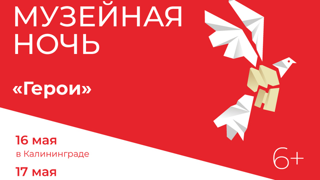 Музейная ночь и субботник в замке: чем заняться на выходных в Калининграде и области
