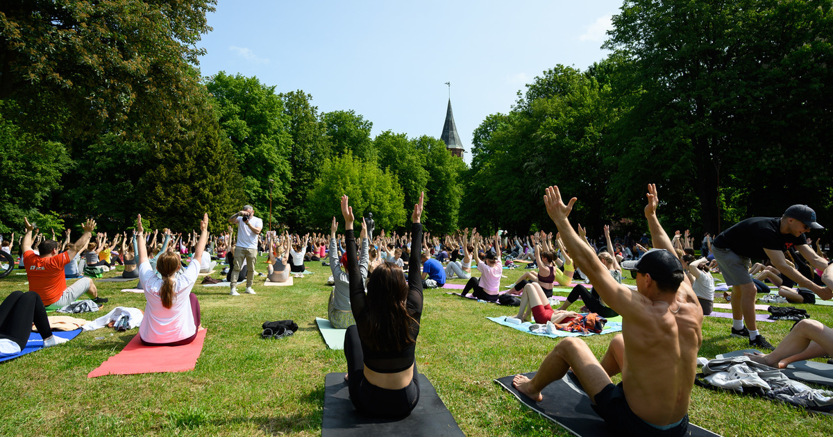 люди на открытом фестивале йоги в парке