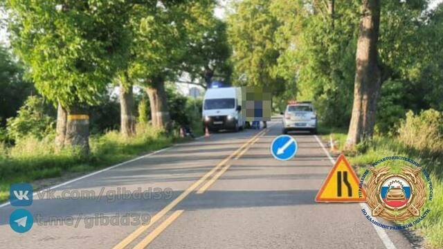 В Славском районе мотоциклист врезался в дерево