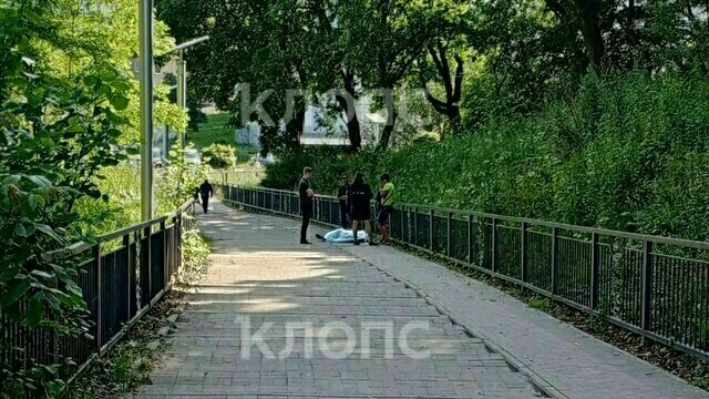 В Балтийске на глазах спутницы и прохожих скончался 53-летний мужчина, которому стало плохо на улице (фото, видео)  