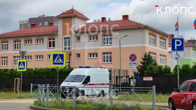 Поступил в травматологию: стало известно о состоянии ребёнка, на которого упало дерево в детском саду в Калининграде (видео)  