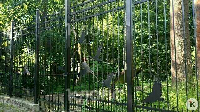 Оазис внутри и ворота на замке: туристка из Перми не смогла проникнуть в Зоологический сквер в Калининграде (видео)  