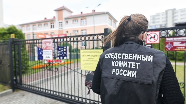 Поставлено на контроль: Бастрыкин потребовал доклад по уголовному делу о падении клёна на шестилетнего малыша