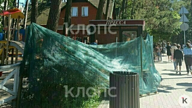 Ни табло, ни навеса: в Светлогорске разобрали автобусную остановку (фото)  