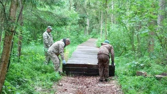 На Куршской косе начали ремонтировать один из главных туристических маршрутов
