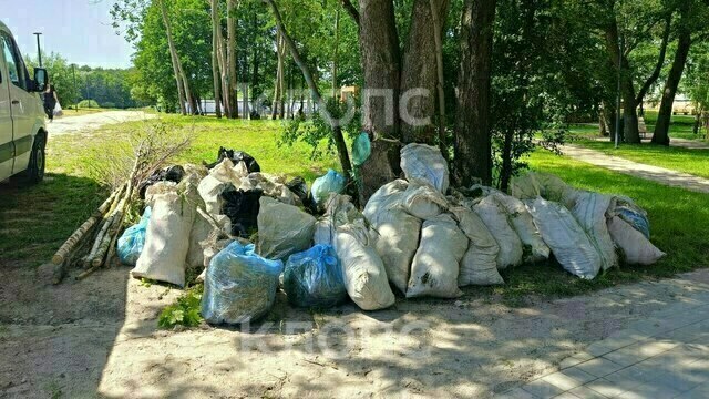 «Ещё вчера была трава по пояс»: в Калининграде к визиту губернатора спешно чистят заброшенные территории (фото, видео)