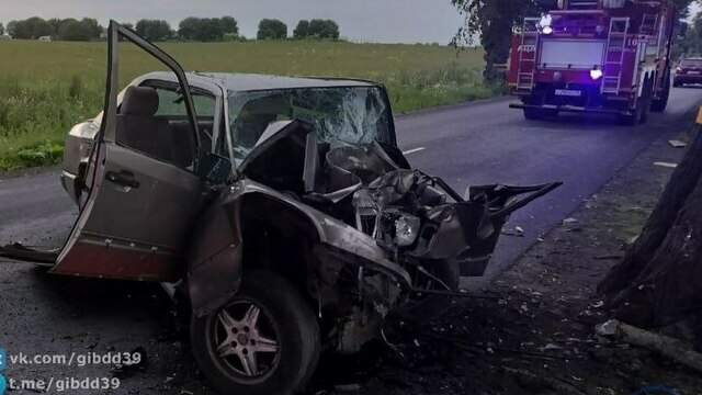 Около Балтийска водитель легковушки врезался в придорожное дерево, пассажирка погибла на месте (фото)