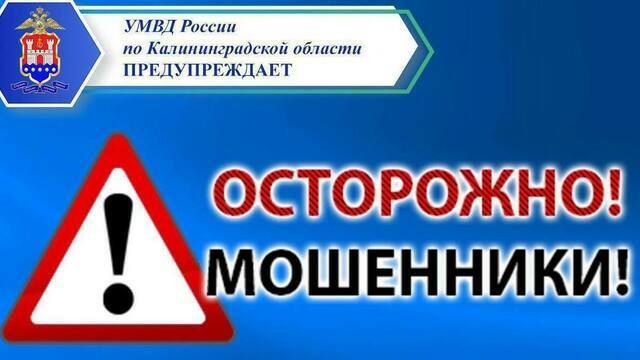 Футболка за 65 тысяч рублей: калининградка стала жертвой мошенников