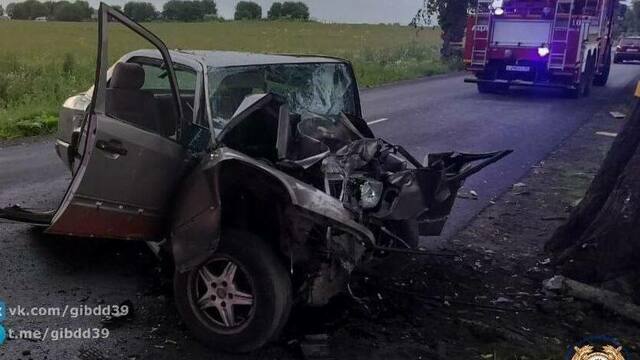 Смертельное ДТП под Балтийском: на водителя влетевшей в дерево легковушки завели дело
