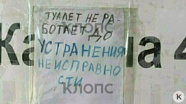 В двух парках Калининграда невозможно попасть в общественные туалеты (фото, видео)  