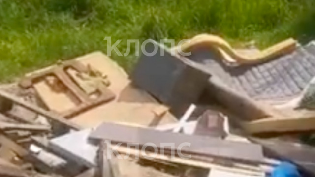 Свалил кучу мусора на газон и уехал: в Калининграде на улице Ульяны Громовой мужчина решил не пользоваться кеской
