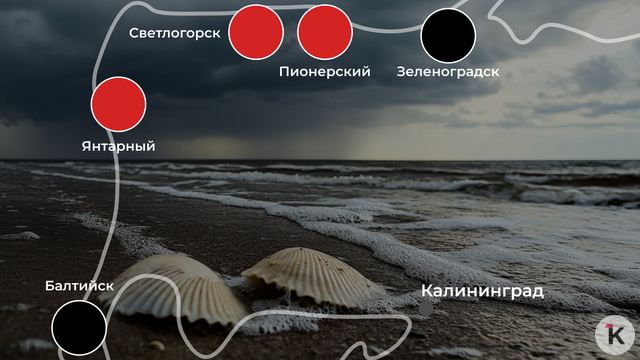 На пляжах области сегодня задувает: погода на калининградском побережье 10 июля