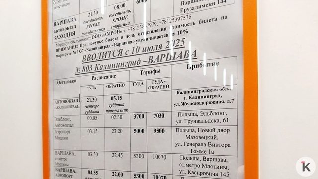 Теперь Варшава: из Калининграда увеличили автобусные рейсы в Польшу (расписание)