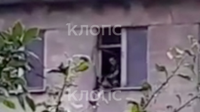 «Я твой хозяин»: в Калининграде мужчина выбрасывал собаку из окна пятого этажа (видео)