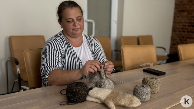 «Бабушки дали азы, бывший муж привёз шерсть»: история Елены из Гвардейска, которая прядёт и вяжет «из собаки» (видео)