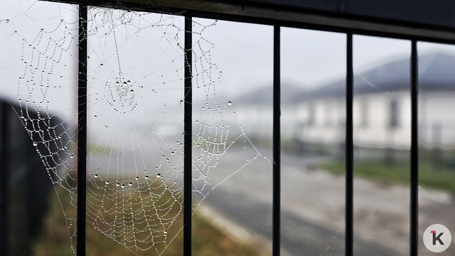 Фото дня: туманное утро в пригороде Калининграда