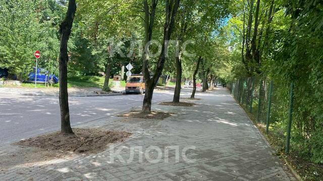 «Девушки проклинать не будут»: мэрия Калининграда оценила, как идёт ремонт тротуаров на Чайковского (фото) 