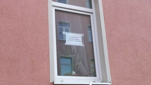 Бросала крупу для голубей на капот: участник конфликта на проспекте Мира рассказал свою версию случившегося (видео)