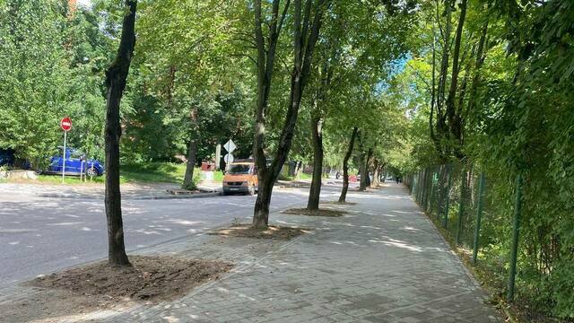 «Девушки проклинать не будут»: мэрия Калининграда оценила, как идёт ремонт тротуаров на Чайковского (фото)